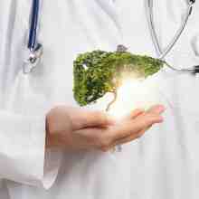 بهترین راه مراقبت از کبد، کاملا گیاهی