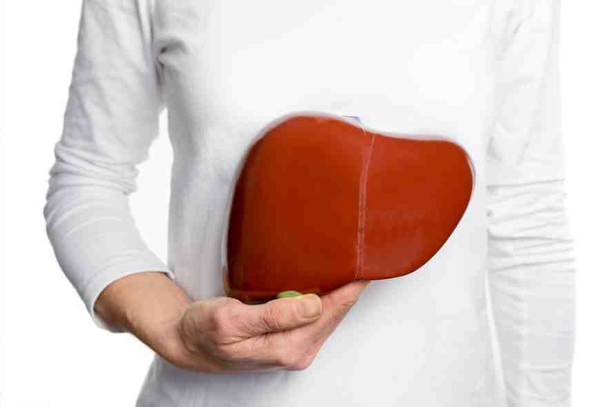 داروی گیاهی برای پاکسازی کبد و درمان کبد چرب